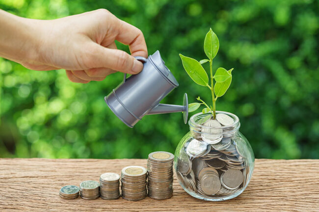Investment Advice Houston